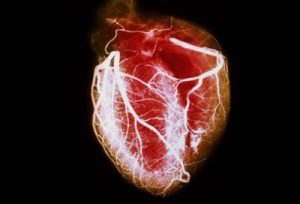 Inima structura si functionarea inimii