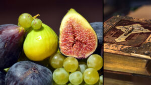 Fructele din BIBLIE – Iata cele 6 FRUCTE SFINTE, pe acestea trebuie sa le MANANCI