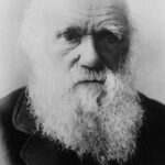 10 lucruri fascinante despre Charles Darwin și „teoria evoluției”